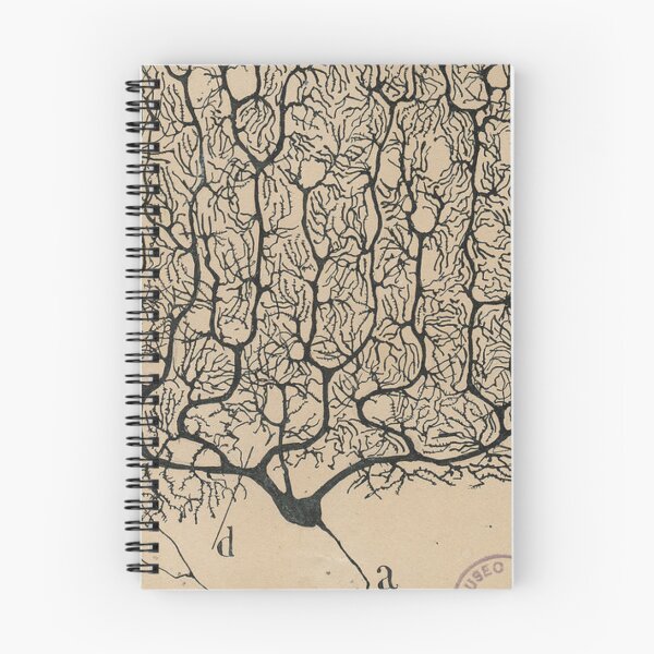 Item preview, Cajal's neurons sketch designed and sold by banabananaz.