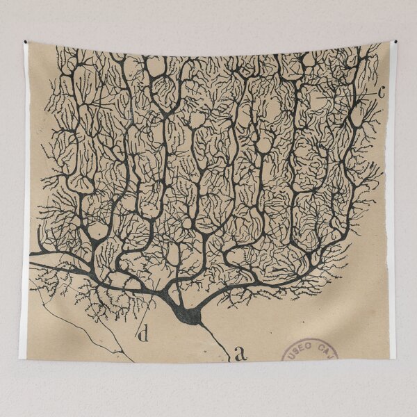 Item preview, Cajal's neurons sketch designed and sold by banabananaz.