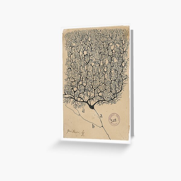 Item preview, Cajal's neurons sketch designed and sold by banabananaz.