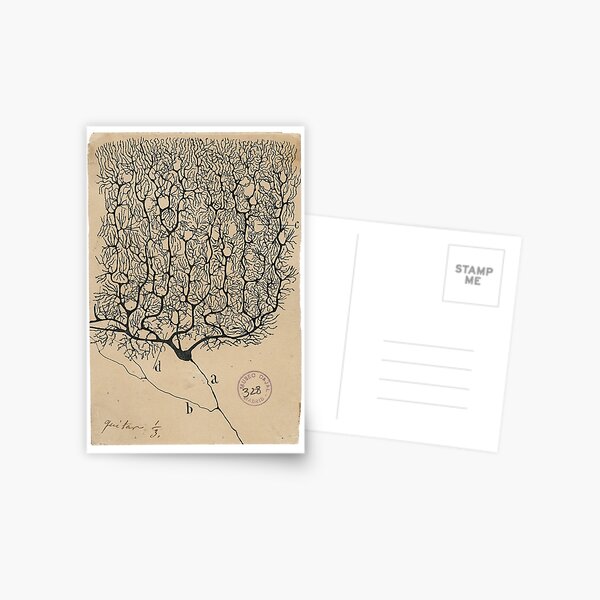 Aperçu de l'œuvre Croquis des neurones de Cajal créée et vendue par banabananaz.