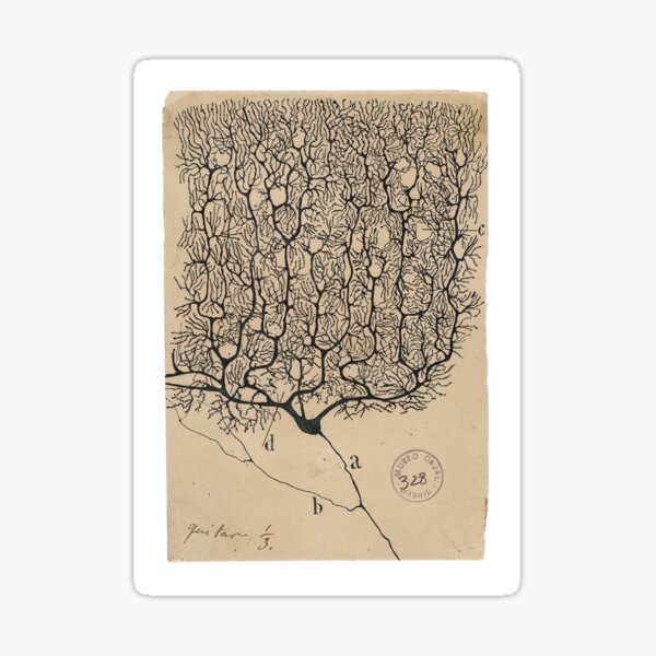 Vista previa del artículo con la obra «Bosquejo de las neuronas de Cajal», diseñado y vendido por banabananaz.
