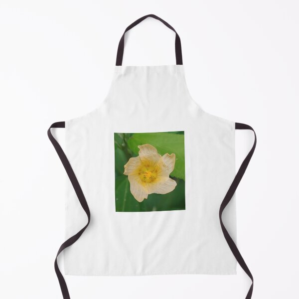 Item preview, Morning Opening designed and sold by Aqualyn.