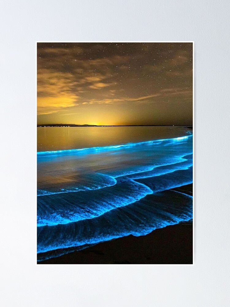 "Bioluminescent Plankton Ocean Waves , Jervis Bay Australia , aussie