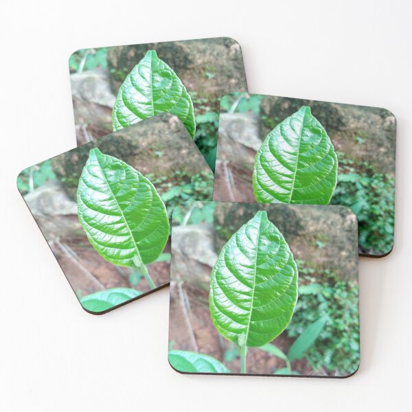 Item preview, natural leaf designed and sold by NMHKcreations.
