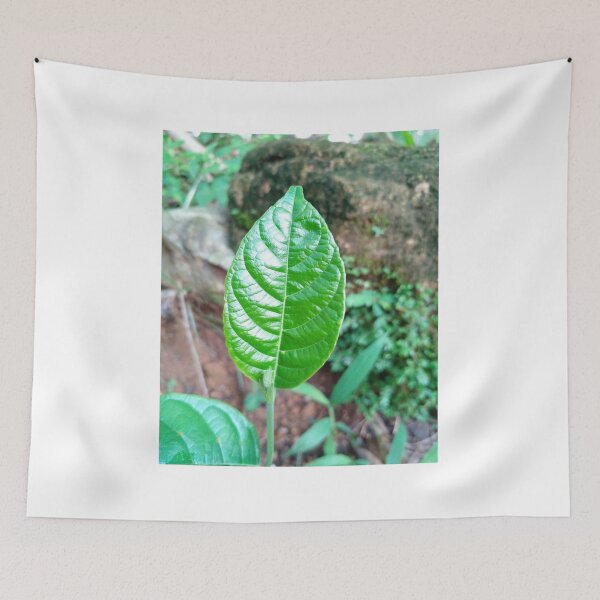 Item preview, natural leaf designed and sold by NMHKcreations.