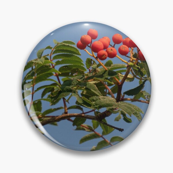 Item preview, Mountain Ash Berries designed and sold by Gerda Grice Photography.