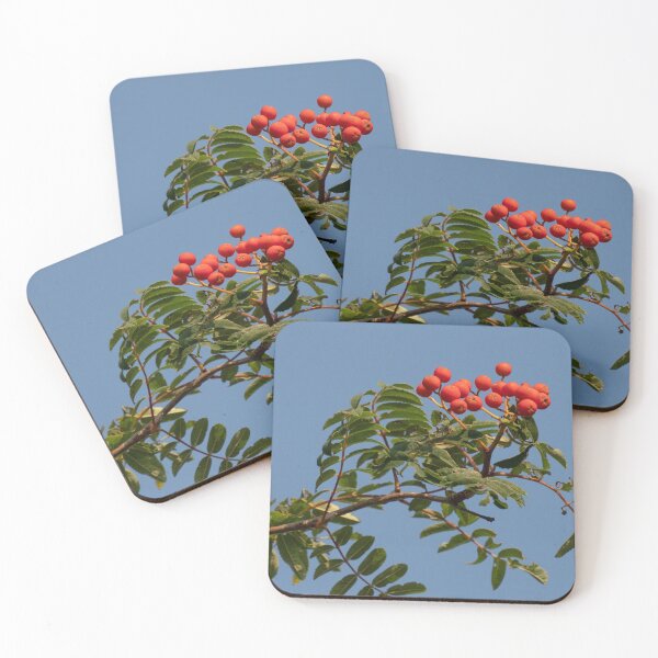 Item preview, Mountain Ash Berries designed and sold by Gerda Grice Photography.
