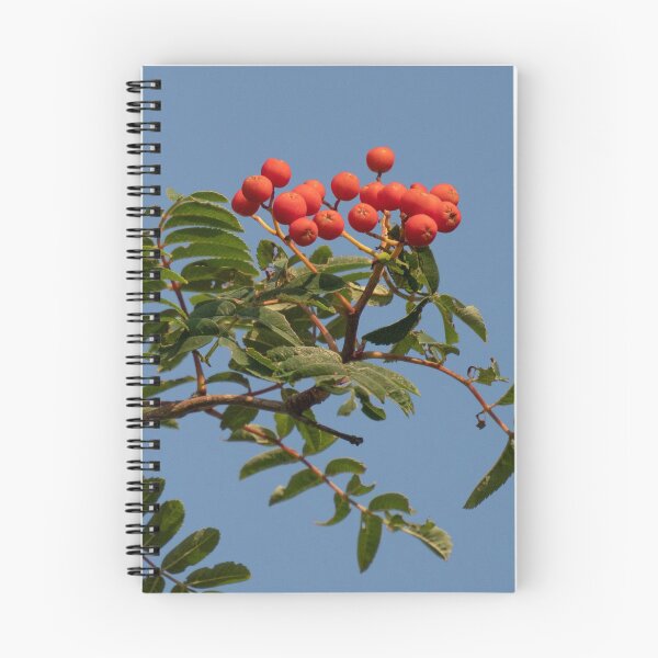 Item preview, Mountain Ash Berries designed and sold by Gerda Grice Photography.