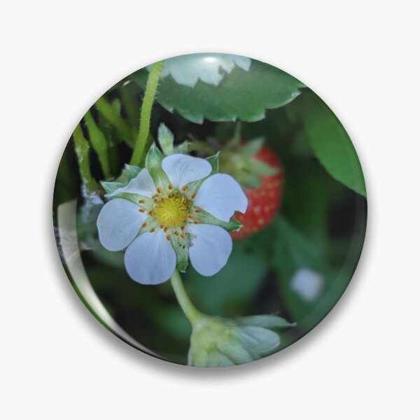 Item preview, Strawberry Blossom Photographic Image designed and sold by AustaArt.