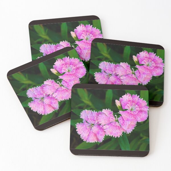 Item preview, Trio of Pink Dianthus and a Bud designed and sold by Gerda Grice Photography.