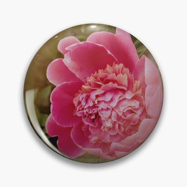Item preview, Peony in Sunbeams designed and sold by FringyGingy.