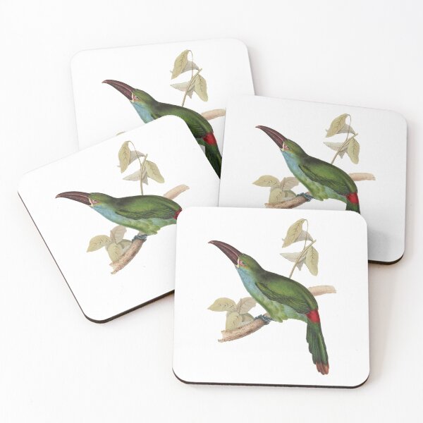 Item preview, Grooved Bill Aracari Bird  designed and sold by MicbellaArt.