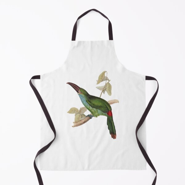 Item preview, Grooved Bill Aracari Bird designed and sold by MicbellaArt.