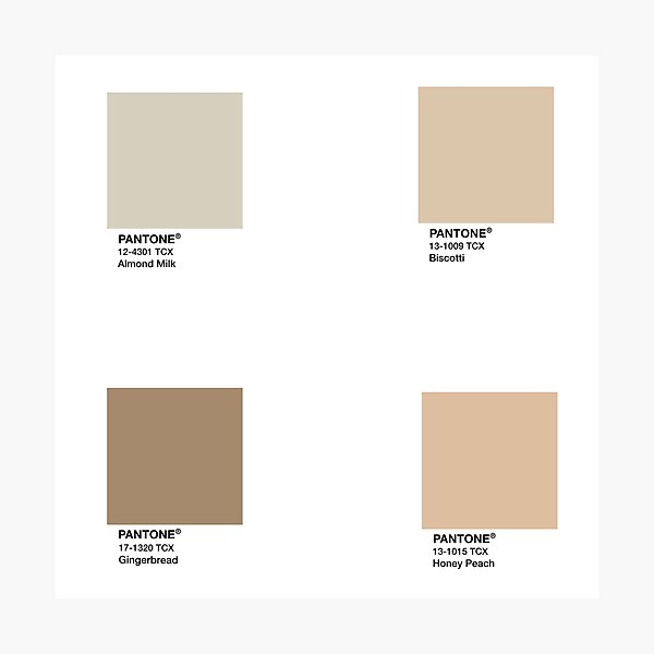 Pantone brown beige | Photographic Print