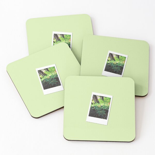 Item preview, Retro Photo: Tops of Leaves designed and sold by DTrickta.