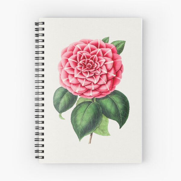 Item preview, Hand Drawn Red Camellia - Japanese Art  designed and sold by TSLAB.