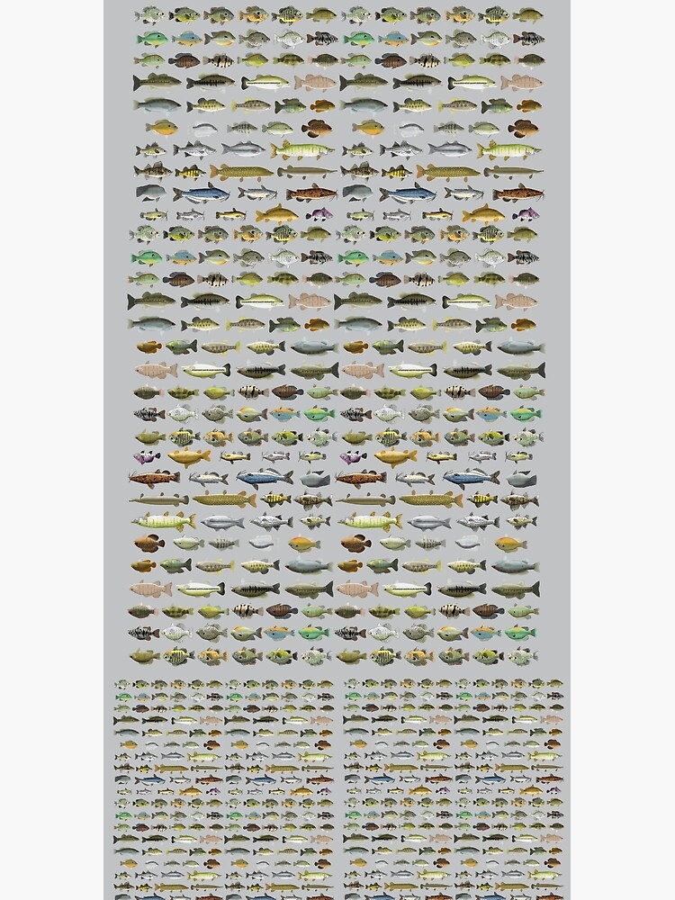 North American Freshwater Fish Group by fishfolkart
