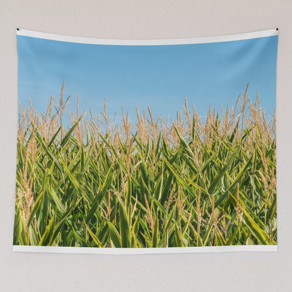 Item preview, Cornfield designed and sold by oz10.