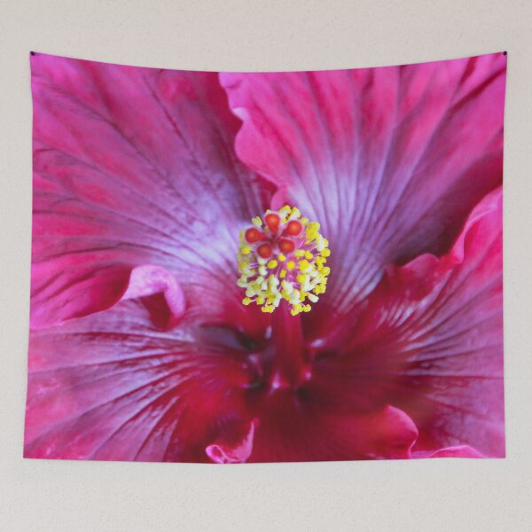 Item preview, Inside the Giant Hibiscus designed and sold by heatherfriedman.