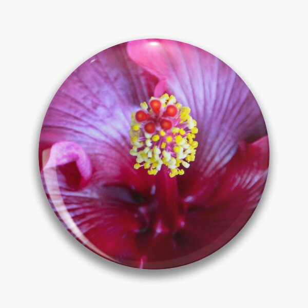 Item preview, Inside the Giant Hibiscus designed and sold by heatherfriedman.