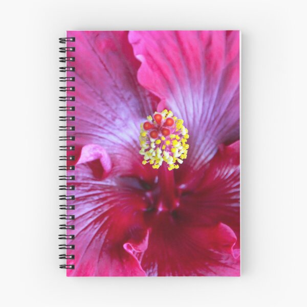 Item preview, Inside the Giant Hibiscus designed and sold by heatherfriedman.