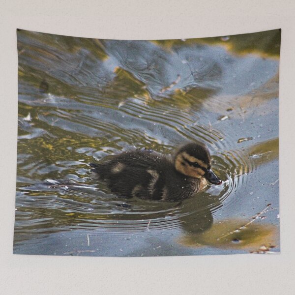 Item preview, Baby Mallard Duckling Swimming Pond designed and sold by Anna Lemos.