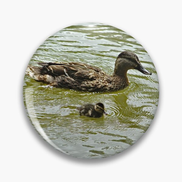 Item preview, Mallard Duck Mother and Duckling Swimming designed and sold by Anna Lemos.