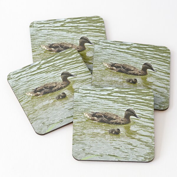 Item preview, Mallard Duck Mother and Duckling Swimming designed and sold by Anna Lemos.