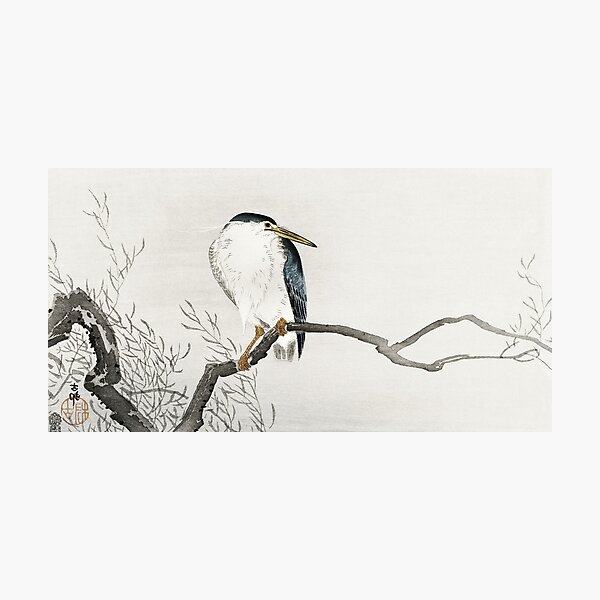 Quack on Branch by Ohara Koson - Japanese Vintage Artwork Photographic Print