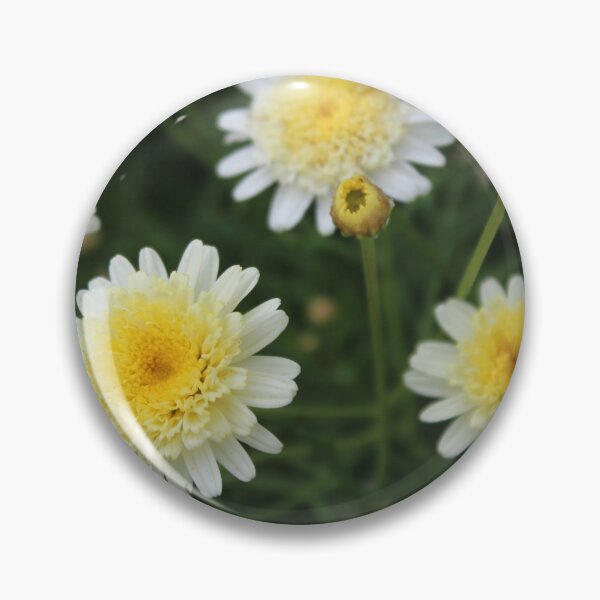 Item preview, beautiful white roses designed and sold by Anabellasara.