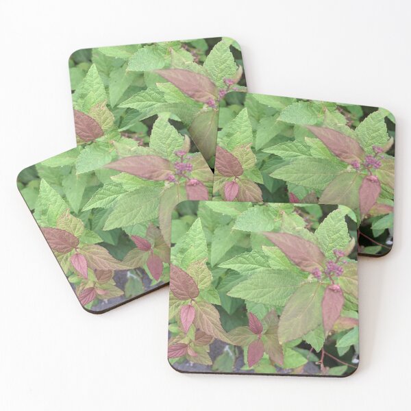 Item preview, Greenery designed and sold by Quirkyalonester.