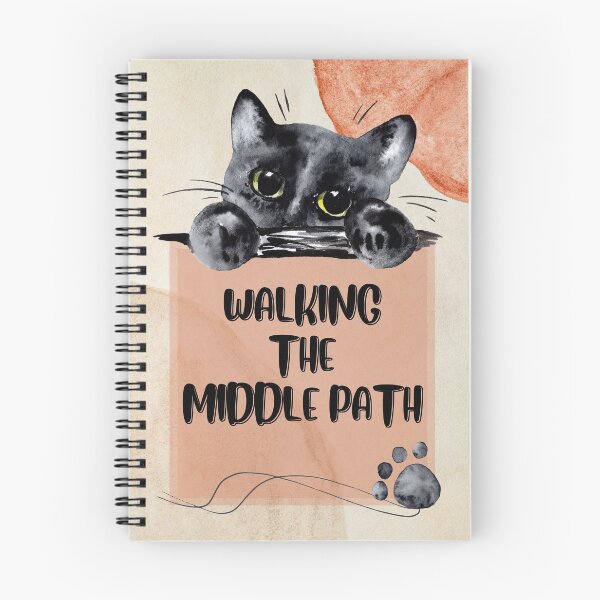Item preview, Walking the Middle Path. DBT, compromise, validation, flexibility, acceptance and change. Getting Unstuck. You are worthy and deserving of care.  designed and sold by Orianah.