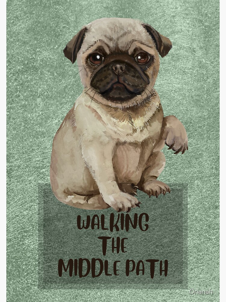walking-the-middle-path-dbt-compromise-validation-flexibility