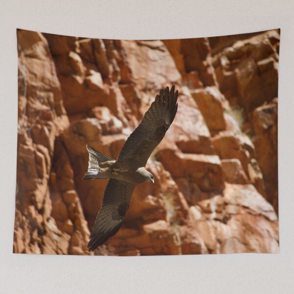 Item preview, Kite in Flight designed and sold by Caballosofcolor.