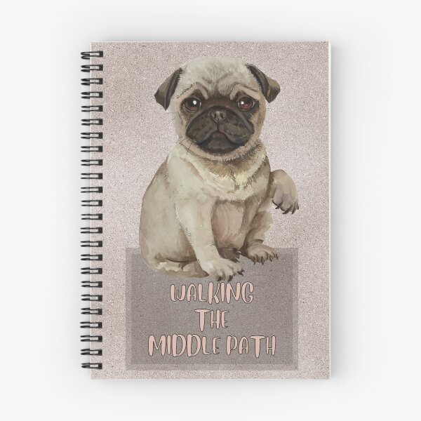 Item preview, Walking the Middle Path. DBT, compromise, validation, flexibility, acceptance and change. Getting Unstuck. You are worthy and deserving of care.  designed and sold by Orianah.