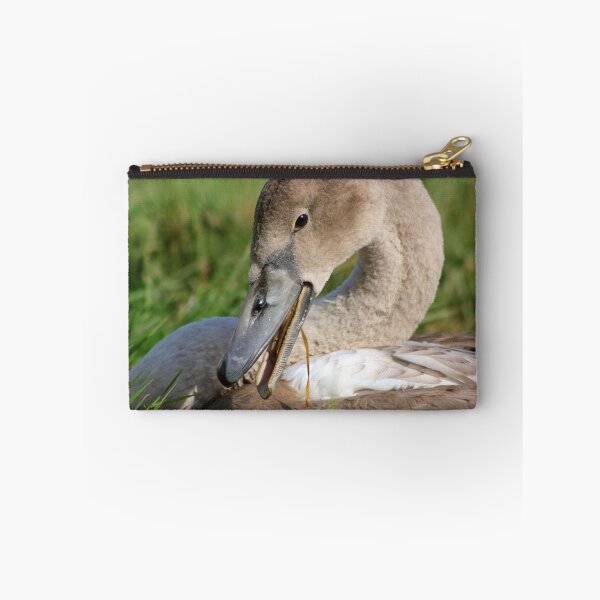 Item preview, Greedy cygnet designed and sold by GreyFeatherPhot.
