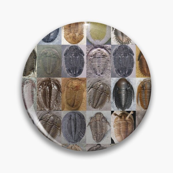 Item preview, Trilobites designed and sold by Montage-Madness.