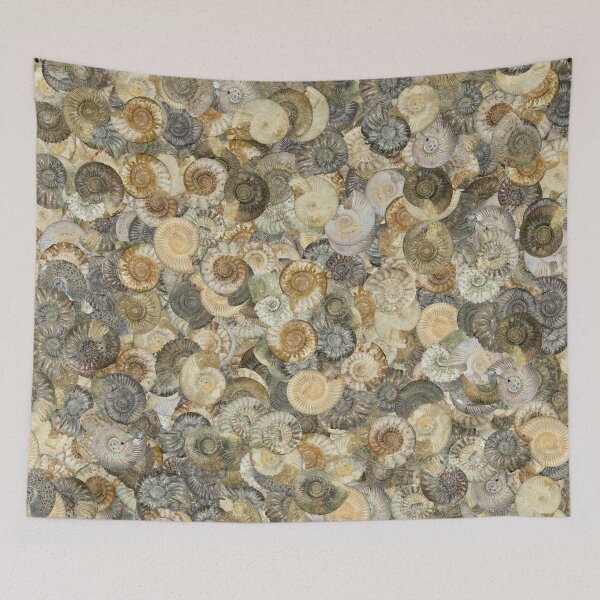 Item preview, Ammonites Madness #2 designed and sold by Montage-Madness.
