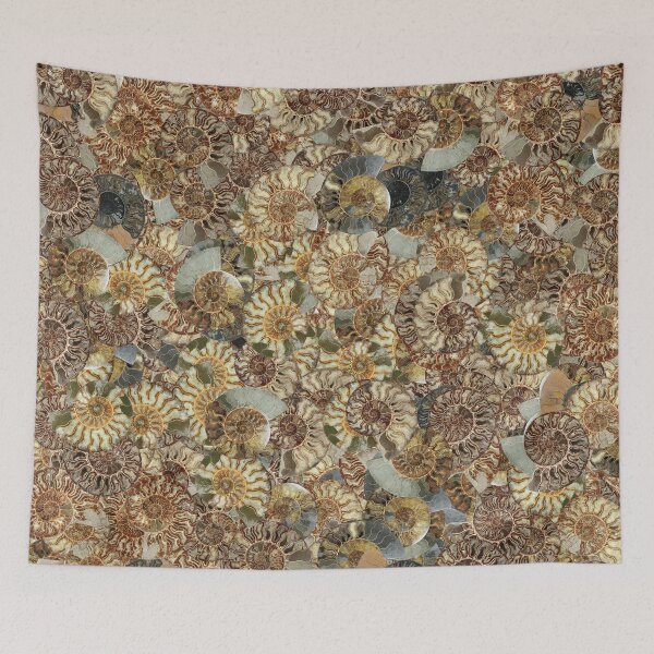 Item preview, Ammonites Madness #1 designed and sold by Montage-Madness.