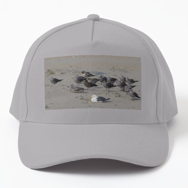 A Flock of Seagulls Baseball Cap
