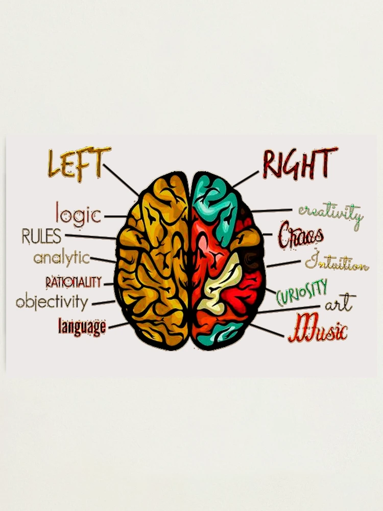 Logic or creative, left side or right side brain | Photographic Print