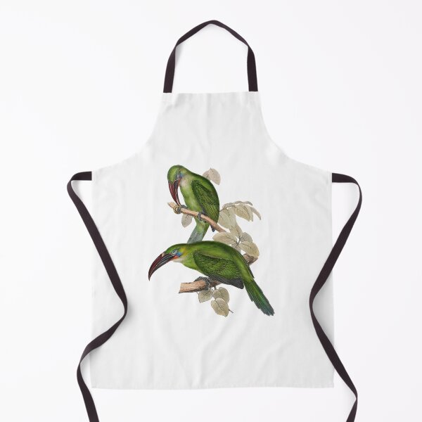 Item preview, Grooved Bill Aracari Bird designed and sold by MicbellaArt.