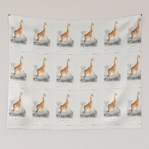 Item preview, Giraffe Lovers. Giraffe (Giraffa camelopardalis) illustration wall art print and poster. designed and sold by janicerafael.