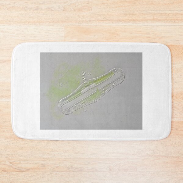Item preview, Freshwater diatom, Rhopalodia sp. designed and sold by SDym Photography.