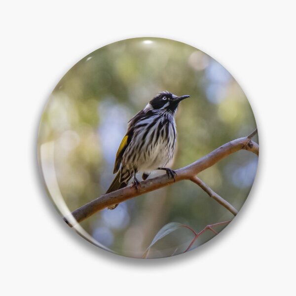 Item preview, Go The Distance | New Holland Honeyeater Hero designed and sold by FigTreeMagick.