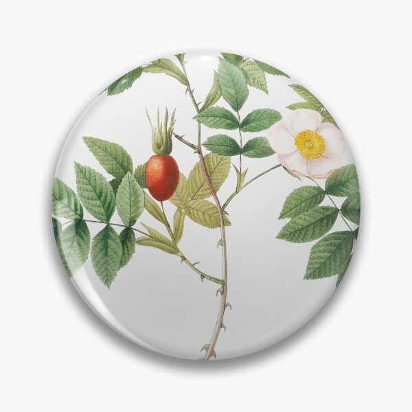 Item preview, Les Roses by Pierre-Joseph Redouté designed and sold by EsotericBotanic.