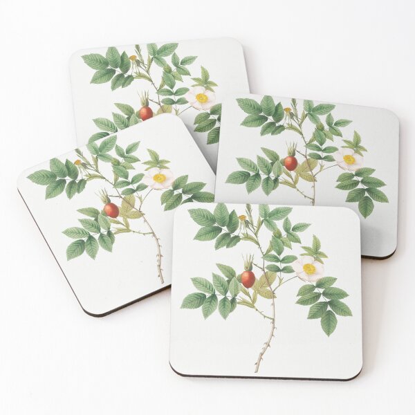 Item preview, Les Roses by Pierre-Joseph Redouté designed and sold by EsotericBotanic.