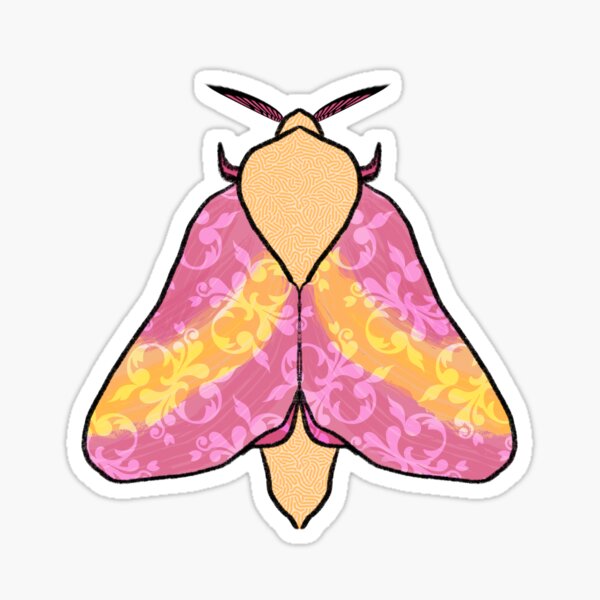 Rosy Maple Moth Waterproof Vinyl Sticker – Botanical Bright - Add a Little  Beauty to Your Everyday