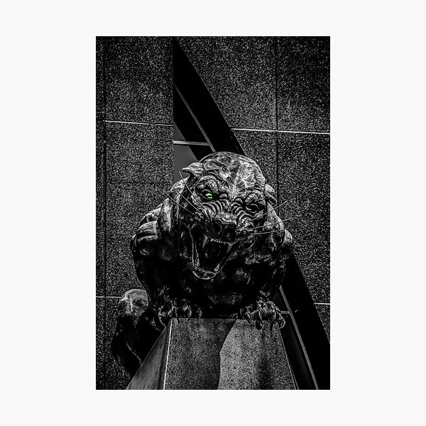 panthers Photographic Print