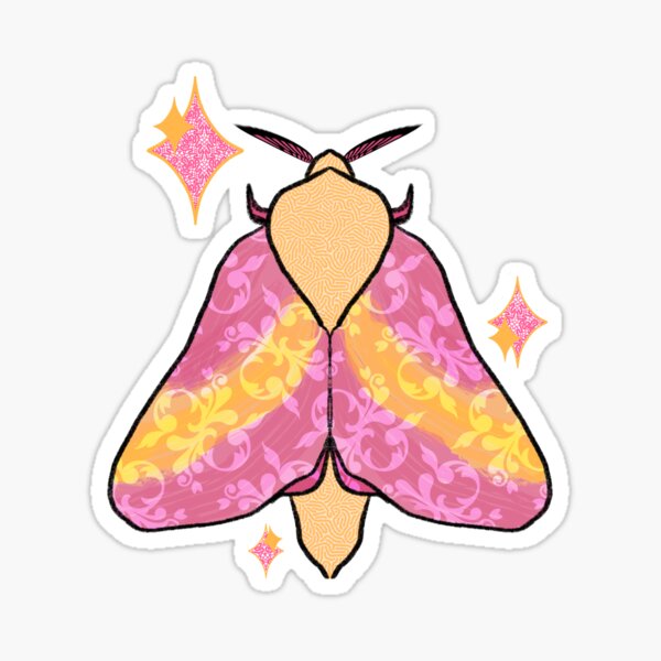 Fluffy Poodle Moth and Pink Lemonade Moth Sticker Set of 2 / Rosy Maple Moth  Sticker / Fluffy Moth Sticker / Laptop Sticker / Vinyl Stickers 